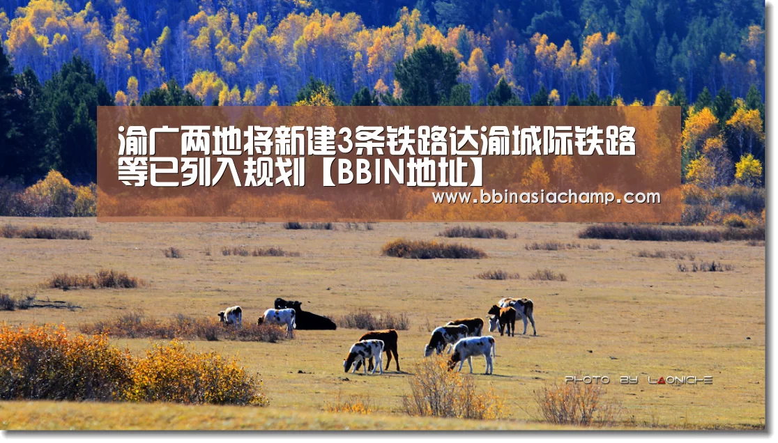渝广两地将新建3条铁路达渝城际铁路等已列入规划【BBIN地址】(图3) BBIN地址