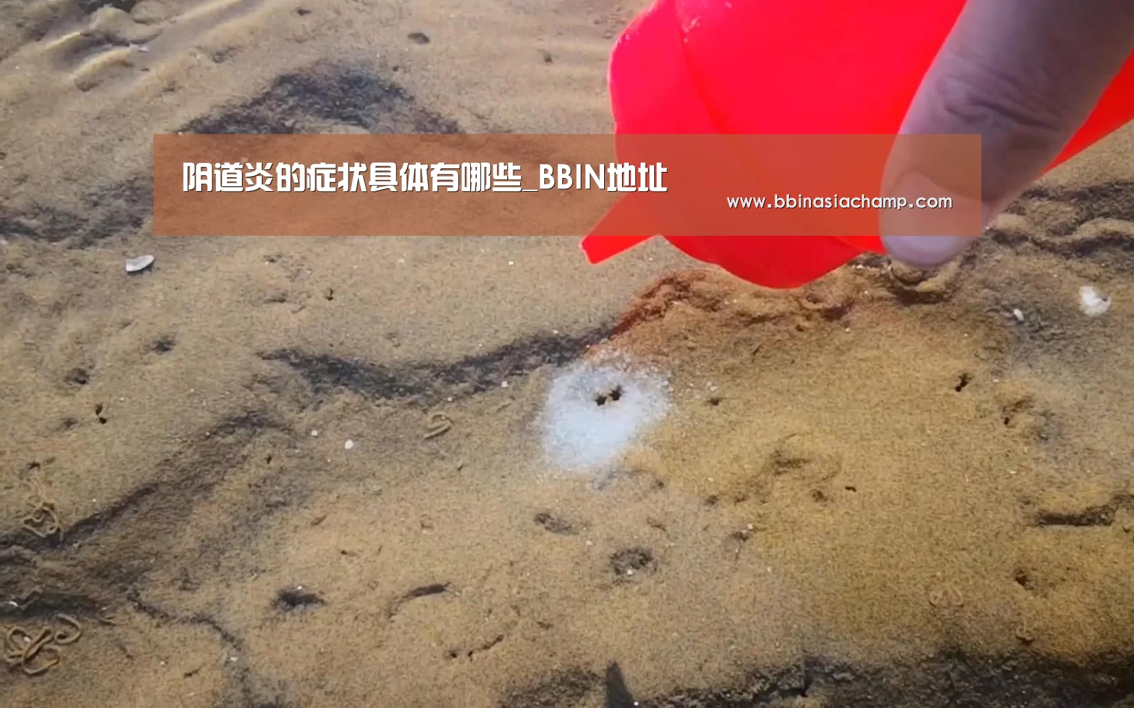 阴道炎的症状具体有哪些_BBIN地址(图3) BBIN捕鱼