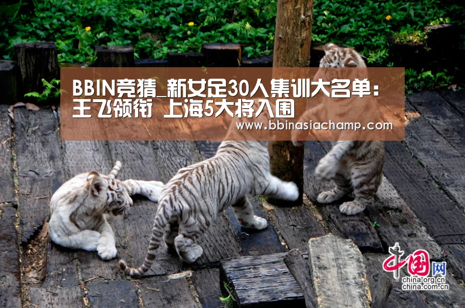 BBIN百家乐