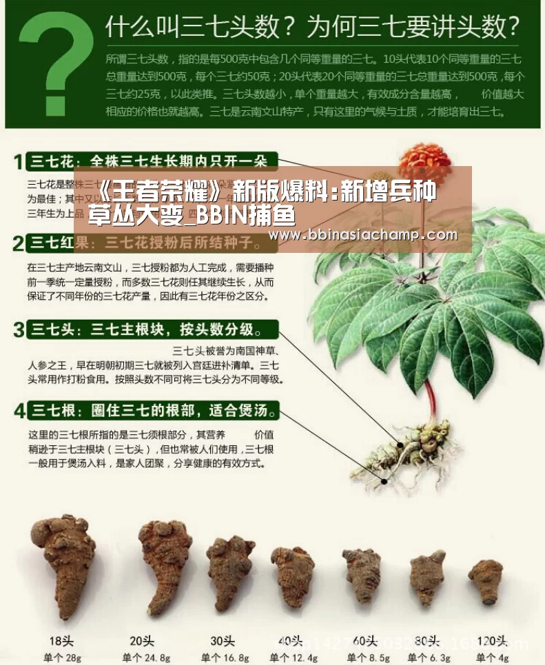 《王者荣耀》新版爆料:新增兵种 草丛大变_BBIN捕鱼(图3) BBIN地址