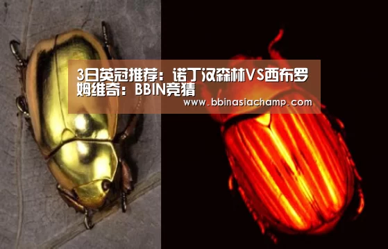 3日英冠推荐:诺丁汉森林VS西布罗姆维奇:BBIN竞猜(图1) BBIN百家乐