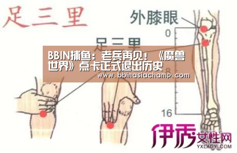 BBIN竞猜