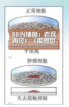 BBIN竞猜
