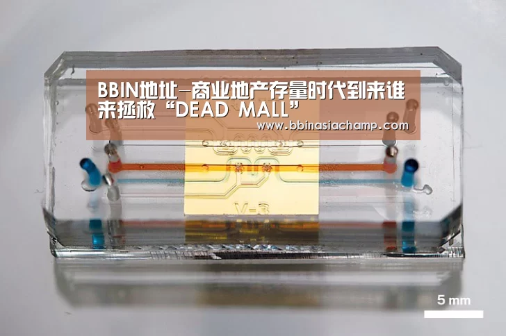BBIN地址-商业地产存量时代到来谁来拯救“DEAD MALL”(图1) BBIN竞猜