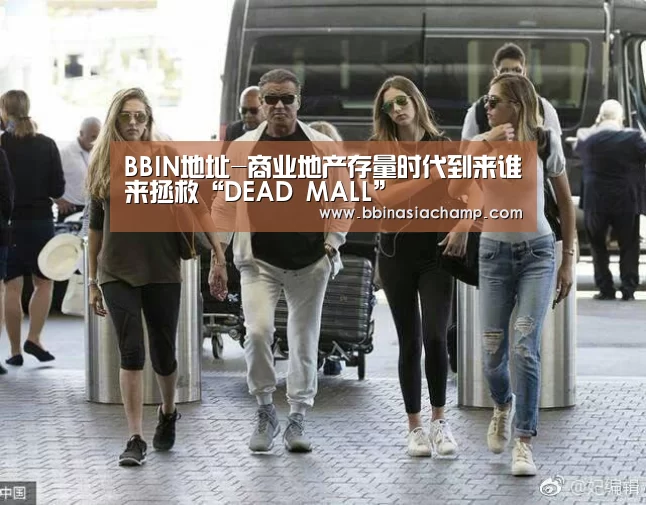 BBIN地址-商业地产存量时代到来谁来拯救“DEAD MALL”(图3) BBIN捕鱼