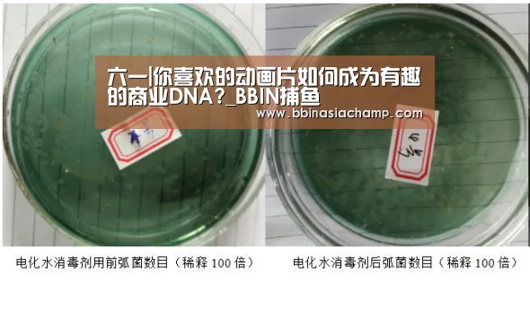 BBIN竞猜