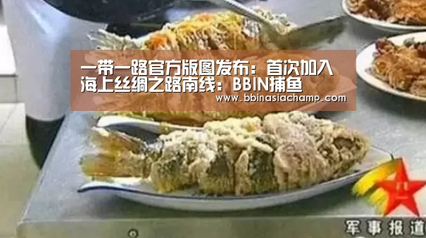 一带一路官方版图发布:首次加入海上丝绸之路南线:BBIN捕鱼(图3) BBIN地址